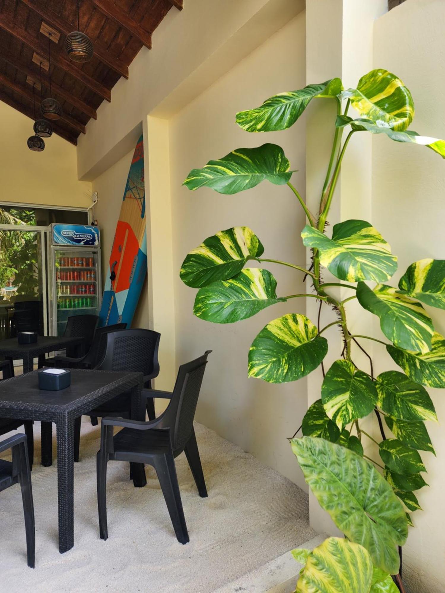 Dhigurah Dhonveli Boutique Hotel Exterior photo